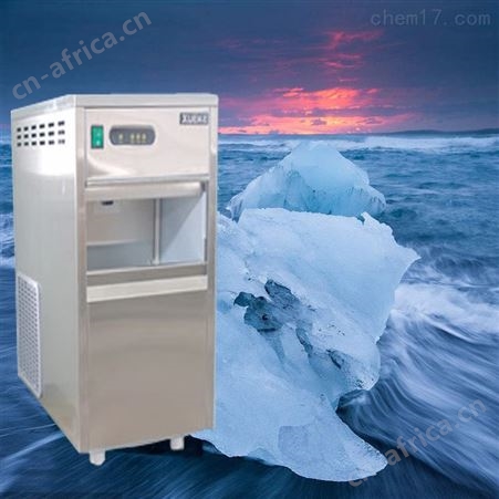 IMS-40雪花制冷机 实验室雪花碎冰机