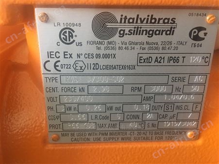 Italvibras  MVSI10/10000-S02 振动电机