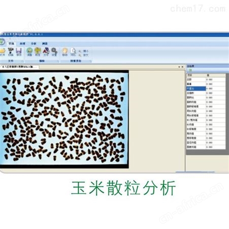 TPKZ-1作物考种分析系统 玉米考种仪