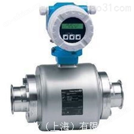 E H传感器、E H流量仪表