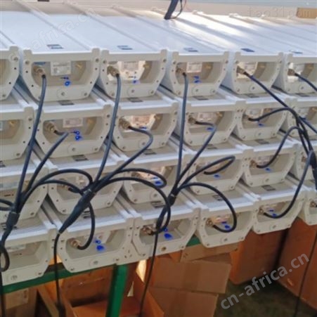 RDI-DF25全天候无线调频室外防水音柱