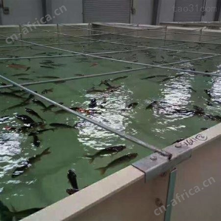 车载鱼箱板切割加工中心 玻璃钢夹芯板数控切割设备 鱼箱智能化生产省人工