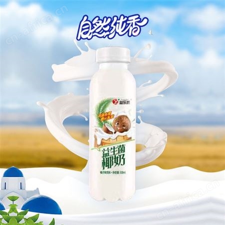 椰奶味乳酸菌饮料500ml×15瓶益生菌饮品商超渠道