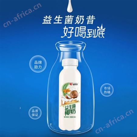 椰奶味乳酸菌饮料500ml×15瓶益生菌饮品商超渠道