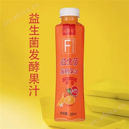 益生菌发酵果汁饮品猕猴桃果汁500ml商超渠道