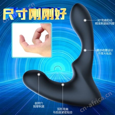 斯汉德蓝迪前列腺按摩器男用后庭用具夫妻共用振动器