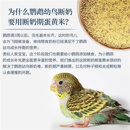 开元鹦鹉断奶期专用蛋小米幼鸟粮无壳谷子鸡蛋黄鸟食含滋养丸