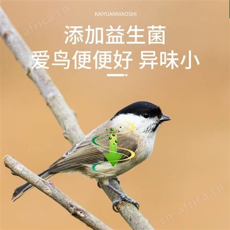 开元（KO）红子鸟食贝子点子柳莺黑子鸟粮鸟食鸟面食250g