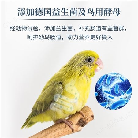 开元鹦鹉断奶期专用蛋小米幼鸟粮无壳谷子鸡蛋黄鸟食含滋养丸