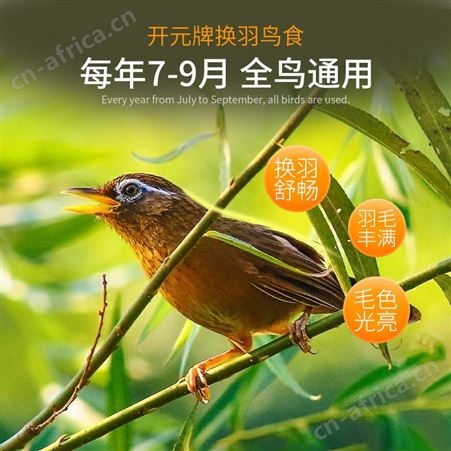 开元牌画眉鹩哥换羽专用鸟食助毛靓丽羽毛益生菌营养鸟食