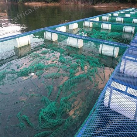 工厂批发网箱 养鱼龙虾螃蟹网箱 福利 尼龙渔网网箱