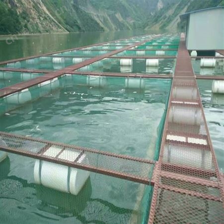 网箱养殖网 高密度水蛭网箱 福利 10目加厚养殖网箱