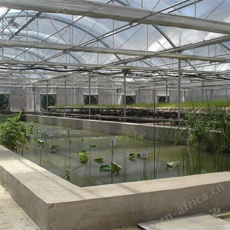 春秋棚食用菌大棚建造 生态园大棚食用菌大棚骨架 聚丰