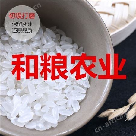 和粮农业2021新米批发 东北大米 10斤长粒香价格 5kg粳米 黑龙江大米厂家 餐饮酒店食堂渠道