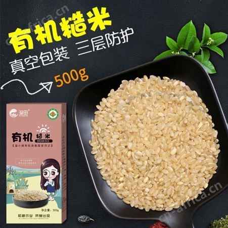 和粮农业 溢田 有机糙米 五谷杂粮精选糙米熬粥精选批发