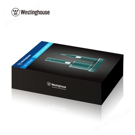西屋声波电动牙刷WL-YS2202 工会礼品 员工福利品