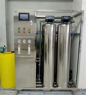 0.25t-100t按需定制0.25吨0.5吨1吨5吨 各吨位单双级反渗透净水纯水设备