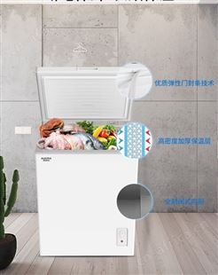 澳柯玛 冰柜 BC/BD-150HY（NE)1冷藏冷冻50升 澳柯玛总代理商