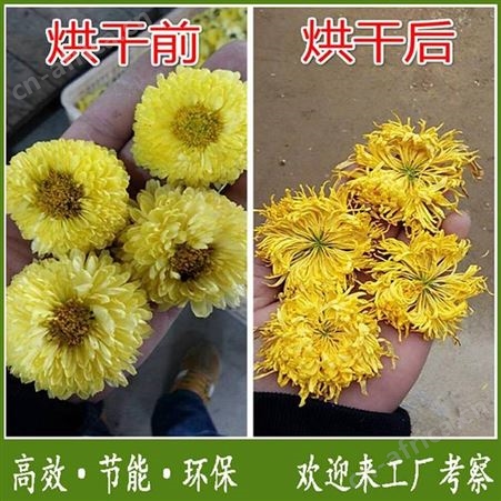 佛香烘干机的价格 厂家报价
