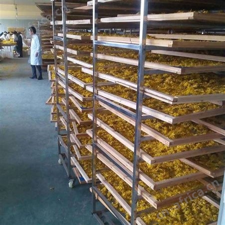 菊花烘干温度控制 新型菊花烘干机厂家 质保1年