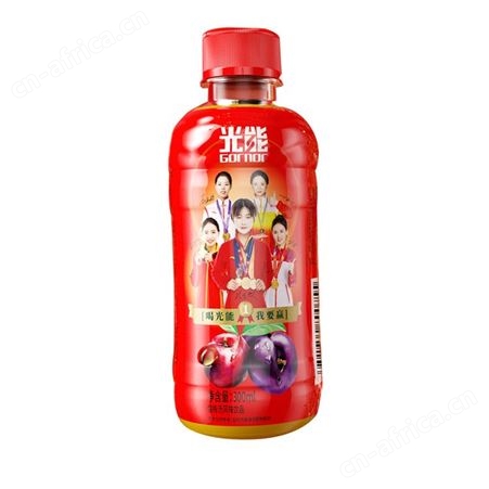 光能酸梅汤风味饮品300mlX12瓶招商代理