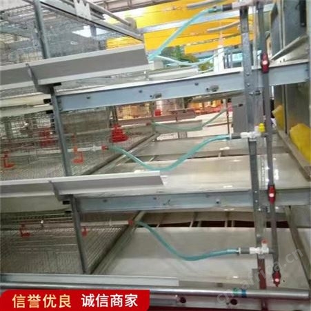 热镀锌笼子 阶梯式双边三层蛋鸡笼 尺寸可定制