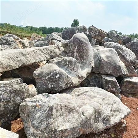 公园天然草坪石 公路绿化带景观石 庭院造景点缀置石
