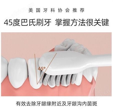 美的电动牙刷MC-AJ0101 礼品公司 品牌礼品 员工福利礼品一件代发