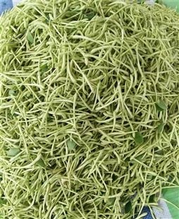 多功能烘干机 果脯猪肉脯烘干房 脱水蔬菜烘干设备 聚鑫机械
