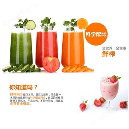 GKN格卡诺榨汁机家用多功能自动搅拌机便携果汁机小型果蔬料理机