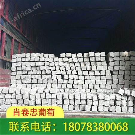 广西水泥杆连体小棚|葡萄架搭建时常在线