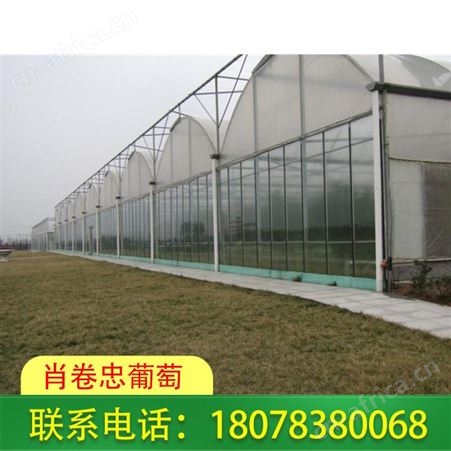 广西养鸡大棚-钦州农业养殖棚建造请来电