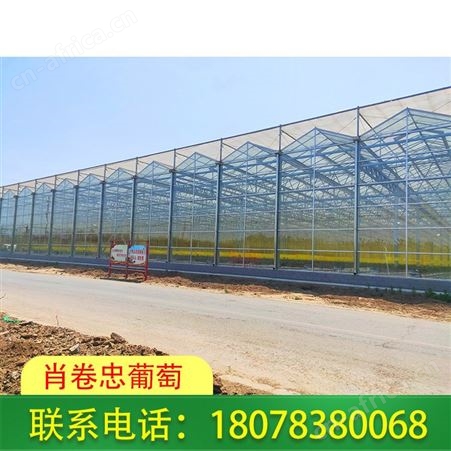 广西东兴连栋温室大棚保温效果好