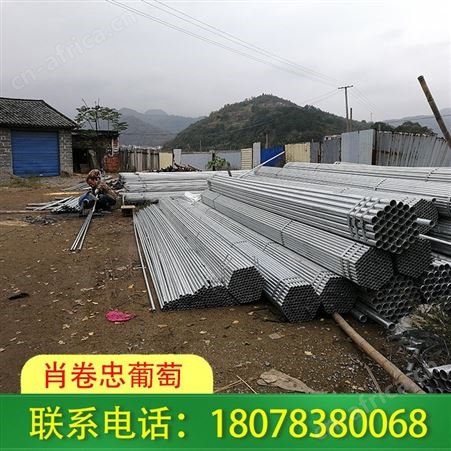 广西钢管独立大棚搭建适用于草莓种植