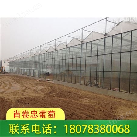 广西连栋温室大棚搭建种类多