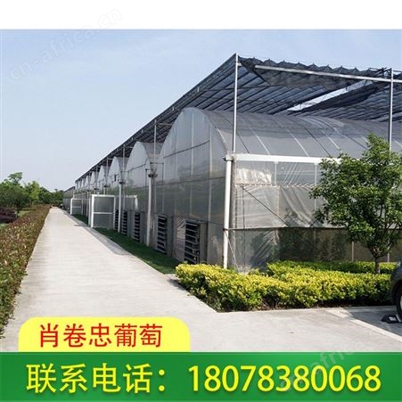 全州连栋温室大棚安装可用于花卉