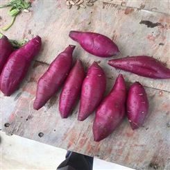 紫薯糖心中果紫罗兰薯新鲜蜜香薯地瓜番薯 顺来