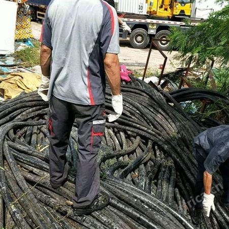 合肥单芯电缆线回收电话报价