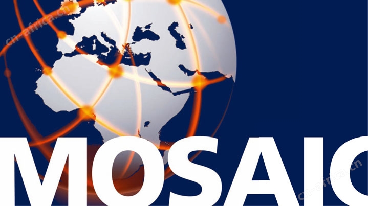 Mosaic™网络控制软件