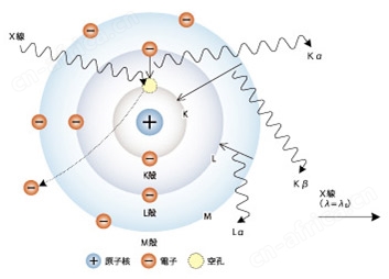 EDX-7000/8000/8100 能量色散型X射线荧光分析装置