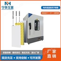充氮干燥箱（专业级） NQD-9070B 无尘充氮烘箱