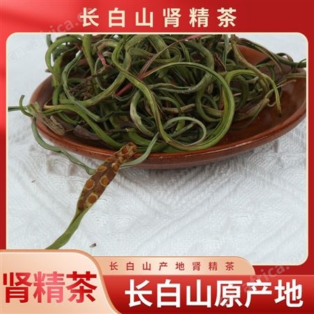 肾精草茶男女养生泡水茶化石草50g五宝草包邮