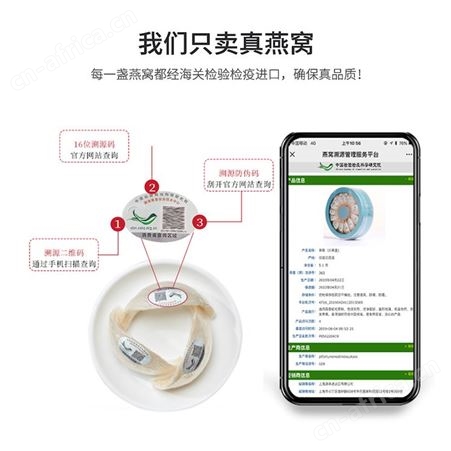 品鉴马来西亚溯源干燕窝孕妇滋补品干盏燕盏源头工厂支持一件代发