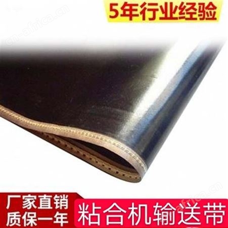 江苏侨尔瑞铁氟龙粘合机输送带 特氟龙无缝带 压衬机皮带