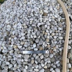 3-5毫米黑色砾石 鹅卵石盆景 铺路工程水磨石子