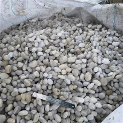 白色水洗砾石 水处理鹅卵石 大型鹅卵石产地