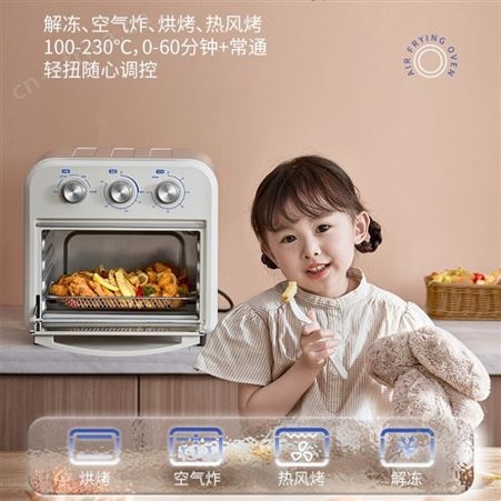ACA/北美电器 ATO-A16空气炸锅电烤箱全自动家用立式可视控温烤箱