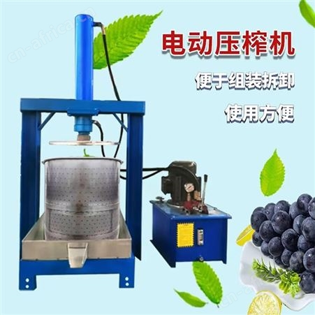 不锈钢榨汁机商用酒槽葡萄压榨机压汁挤压神器压猪油渣机 巧夺