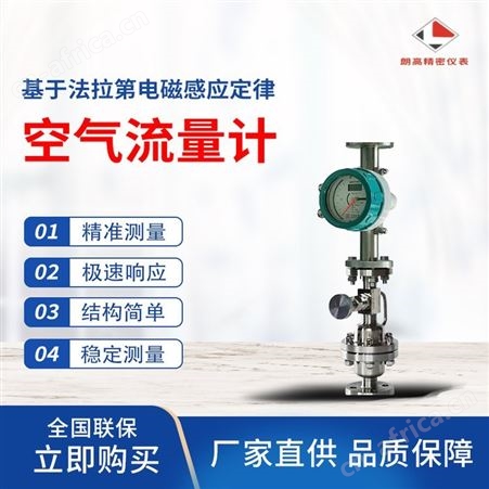 安徽德里 空气流量计 抗震动耐腐蚀 朗高热式气体质量流量计定制