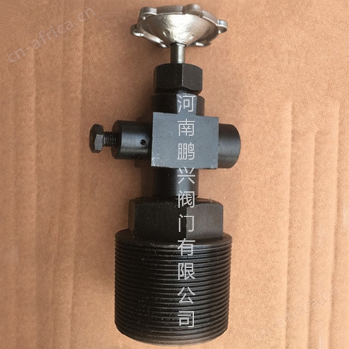 H255-320热采针型阀